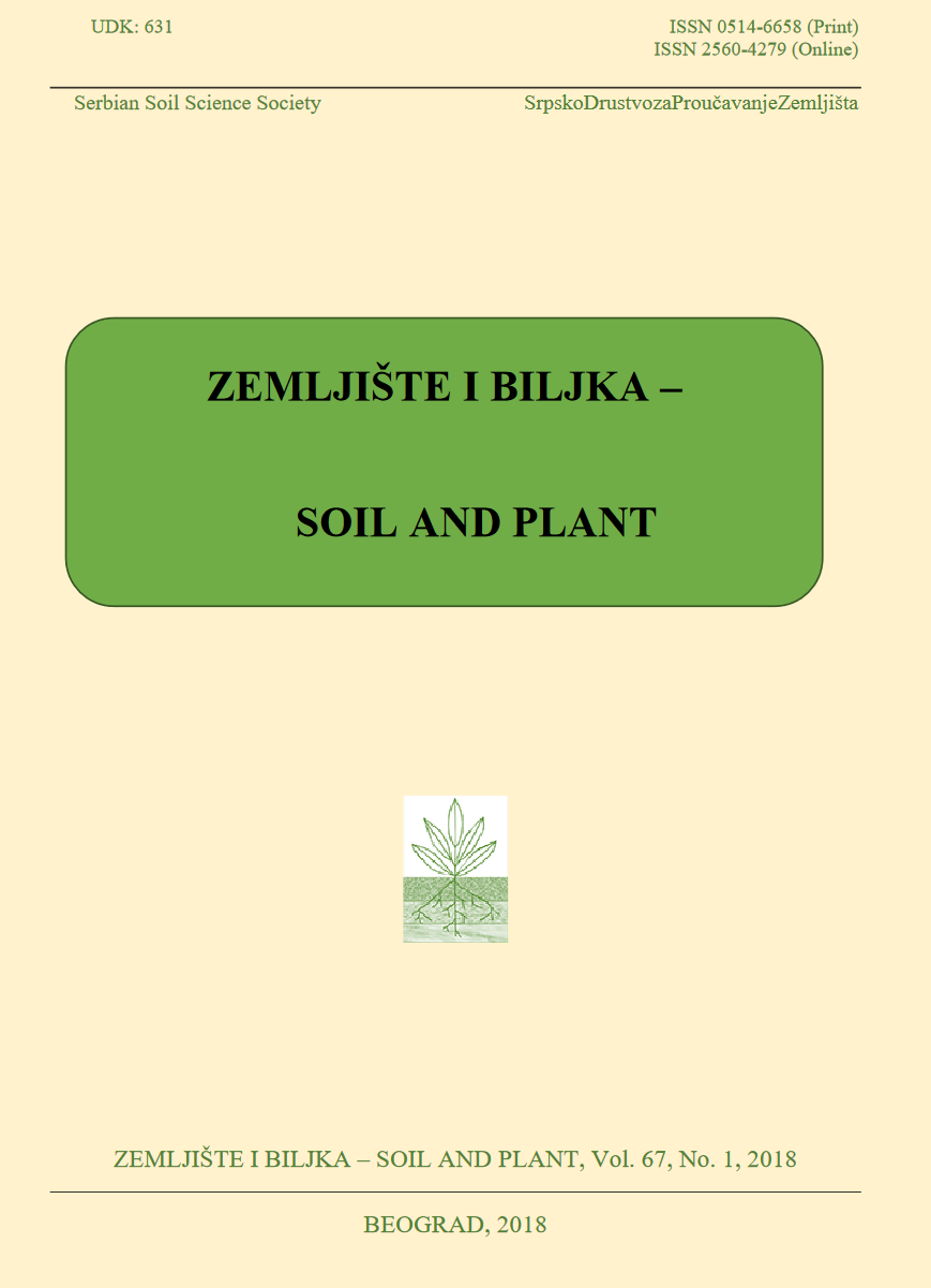 soil and plant