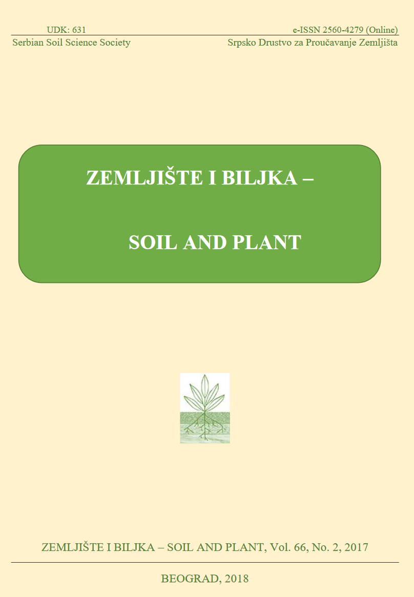 soil and plant
